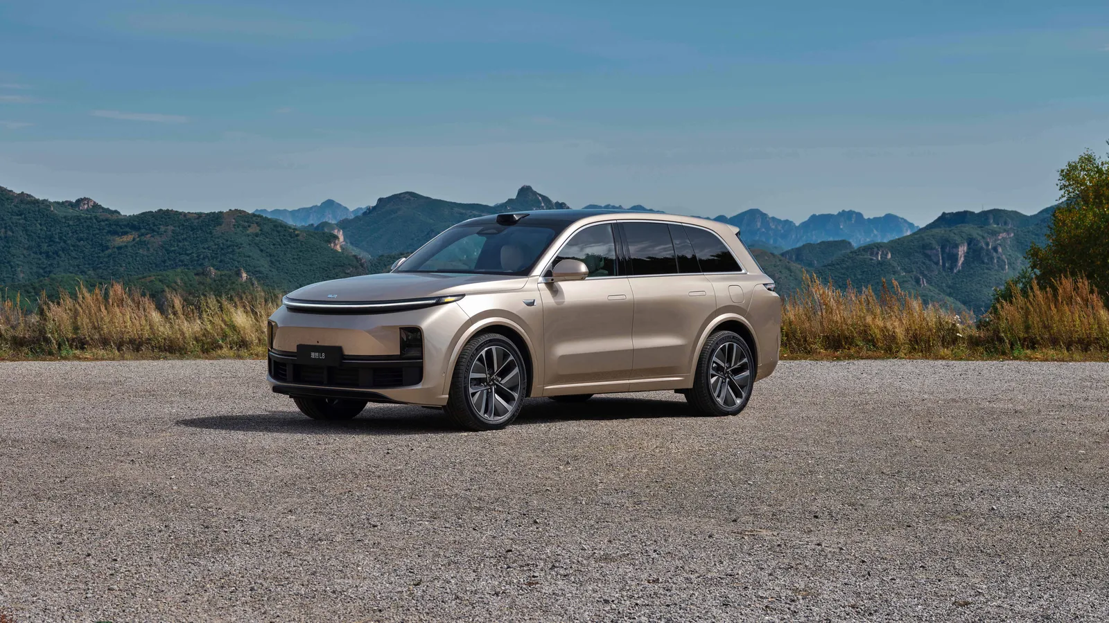 Шестиместный Li L8 первого поколения